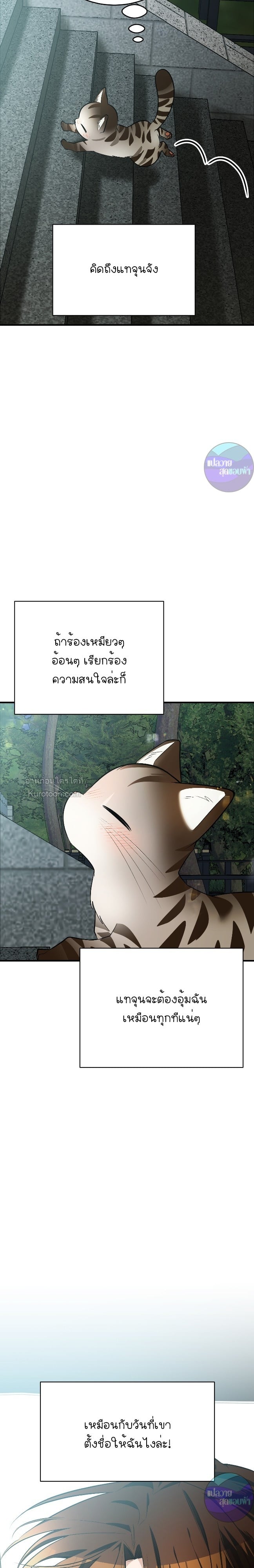 มีลูกแมวให้ผมซะ ถ้าไม่อยากเห็นผมคลั่ง! ตอนที่ 12 - รูปที่ 2